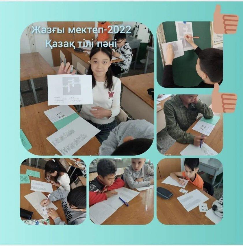 Жазғы мектептің 6-сынып оқушылары қазақ тілі мен әдебиеті сабағында