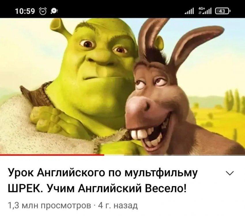 В игровой форме отработали новые фразы и грамматику.